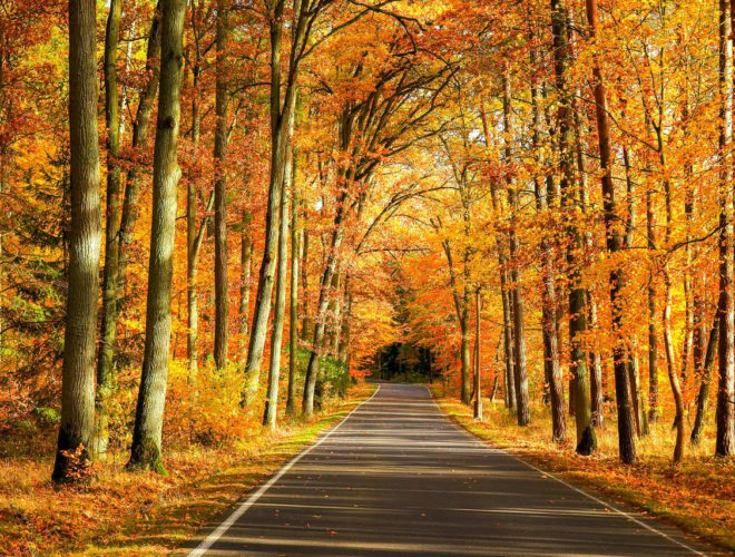 autumn road